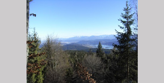 Gipfelkreuz Gallinberg - Bild 4