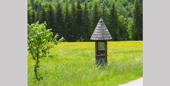 Hubertusmarterl Ladina-Maglern - Bild 5