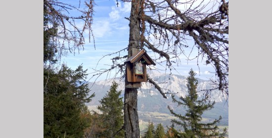 Aussichtsplatz und Bildbaum am Habichtblick - Bild 3
