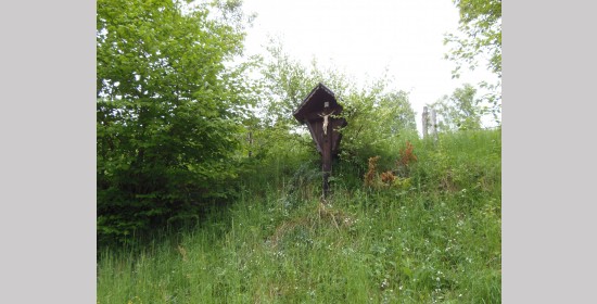 Birkweberkreuz - Bild 6