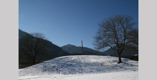 Mithras - Wächtersäule II in Pöllan - Bild 6