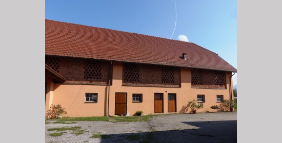 Ziegelgitterfenster vulgo Schuschel - Bild 6