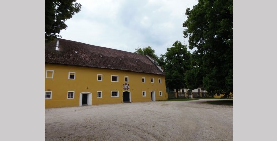 Ziegelgitterfenster Schlossstadel Grafenstein - Bild 6