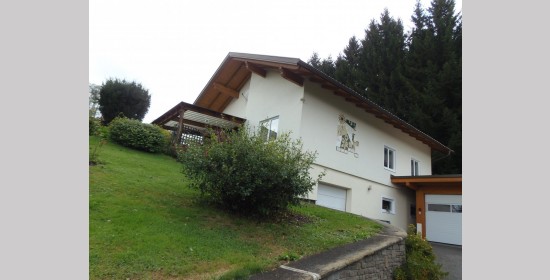 Sgraffito Wohnhaus Hauser - Bild 4