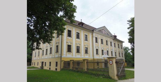 Portal & Giebelsegment Schloss Grafenstein - Bild 6