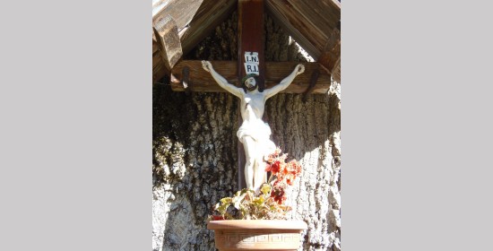 Baumkreuz Boden - Bild 4