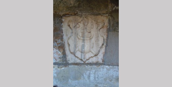 Vitusquelle - Bild 6