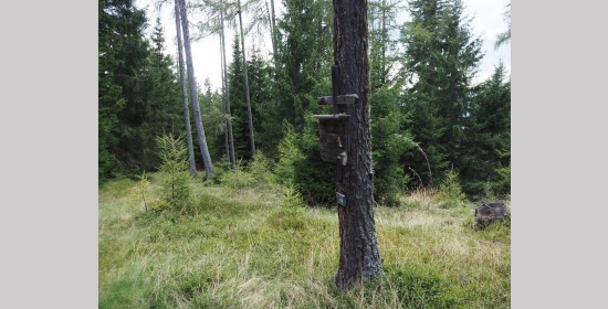 Anderletaferl - Bild 3