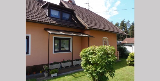 Fassadenmalerei Wohnhaus Hartlieb - Bild 5
