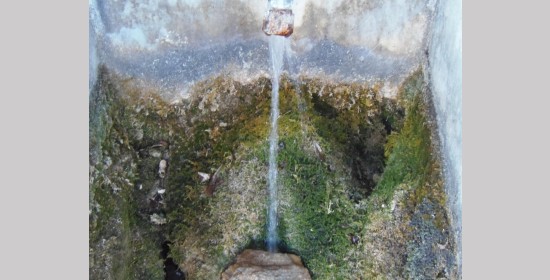 Vitusquelle - Bild 5