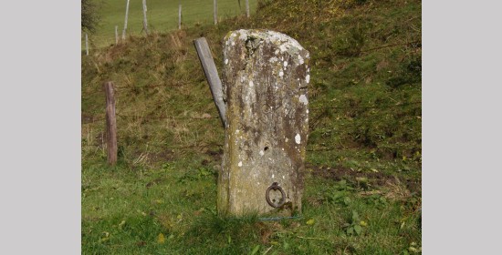 Gattersäule vulgo Walzi - Bild 1