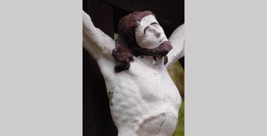 Zweibrotkreuz - Bild 5