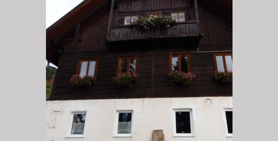 Fassadenmalerei Gasthaus Wirth - Bild 4