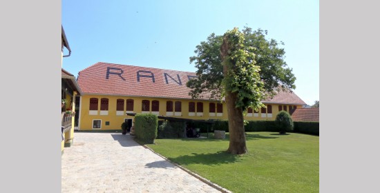 Ziegelgitterfenster Ranftlhof - Bild 2