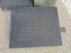 Thumb 6