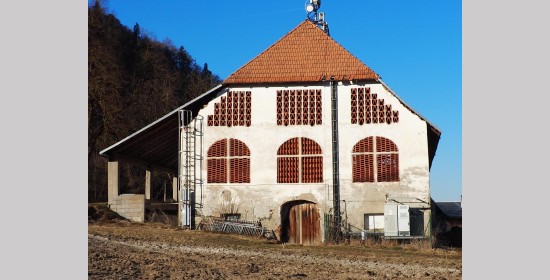 Ziegelgitterfenster vulgo Vostl Raggasaal - Bild 1