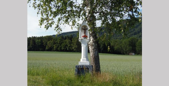 Kohlweißkreuz - Bild 1