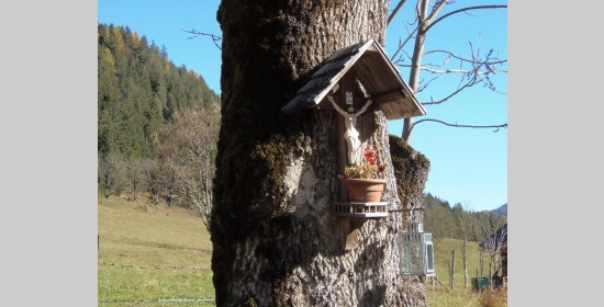 Baumkreuz Boden - Bild 2