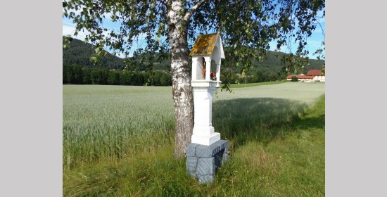 Kohlweißkreuz - Bild 3