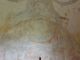 Thumb 6