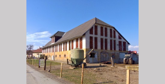 Ziegelgitterfenster vulgo Vostl Milbersdorf - Bild 6
