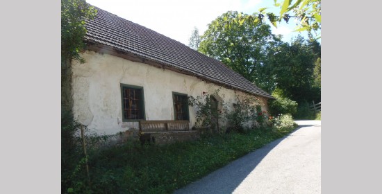 Haustüre vulgo Zgank - Bild 5