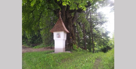 Kropfkreuz - Bild 1