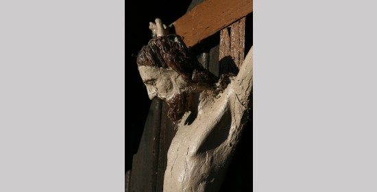 Forstnerwirtkreuz - Bild 6