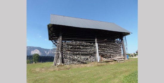 Doppelharpfe vulgo Maik - Bild 7