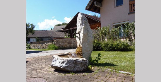 Steinerner Dorfbrunnen Seltschach - Bild 4