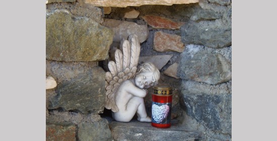 Kernpeiskreuz - Bild 5