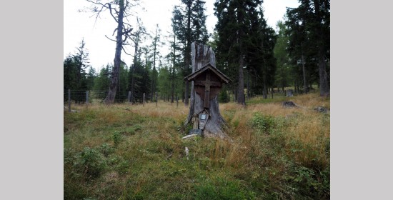 Kolarwirtkreuz - Bild 7