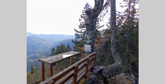 Aussichtsplatz und Bildbaum am Habichtblick - Bild 4