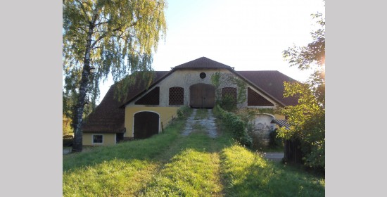 Fassadenmalerei vulgo Jakl - Bild 4