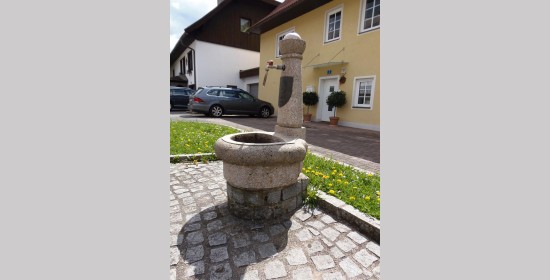 Lionsbrunnen Arnoldstein - Bild 4