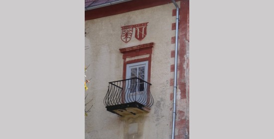 Allianzwappen Schloss Paternion - Bild 4