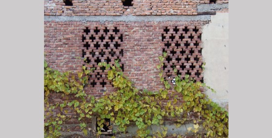 Ziegelgitterfenster vulgo Schollmann - Bild 6