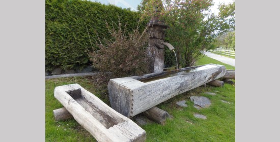 Dorfbrunnen Kamering - Bild 4