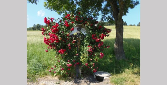 Haidenbichlerkreuz - Bild 1