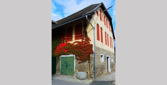 Ziegelgitterfenster Lacknerhof - Bild 4