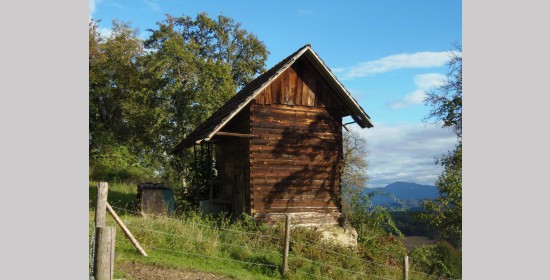 Dachounig Kasten - Bild 1