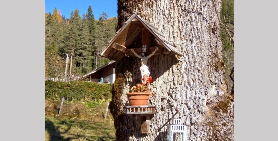 Baumkreuz Boden - Bild 1