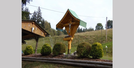 Fuchskeuschenkreuz - Bild 2