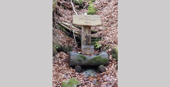Brunnen Habichtquelle - Bild 4