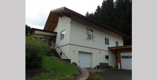 Sgraffito Wohnhaus Hauser - Bild 2