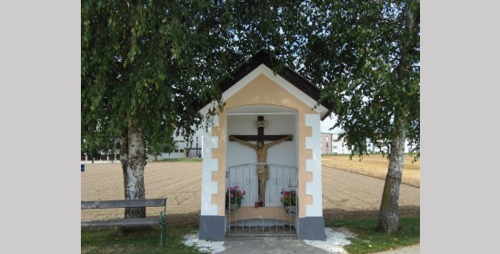 Potakkreuz - Bild 1