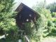 Thumb 7