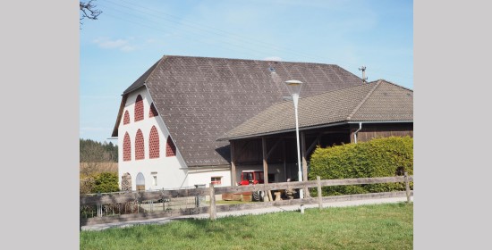 Ziegelgitterfenster vulgo Fiedler - Bild 6