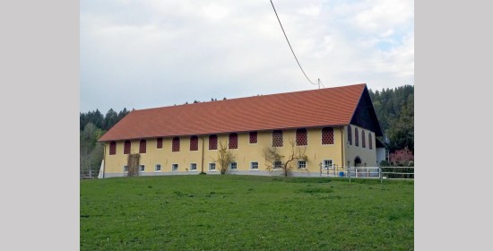 Ziegelgitterfenster Sonnenhof - Bild 3