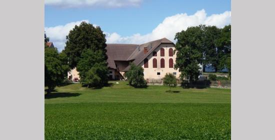 Ziegelgitterfenster vulgo Stefan - Bild 7
